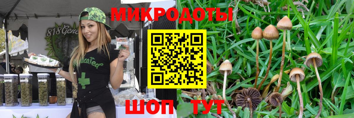 Псилоцибиновые грибы мухоморы Армавир