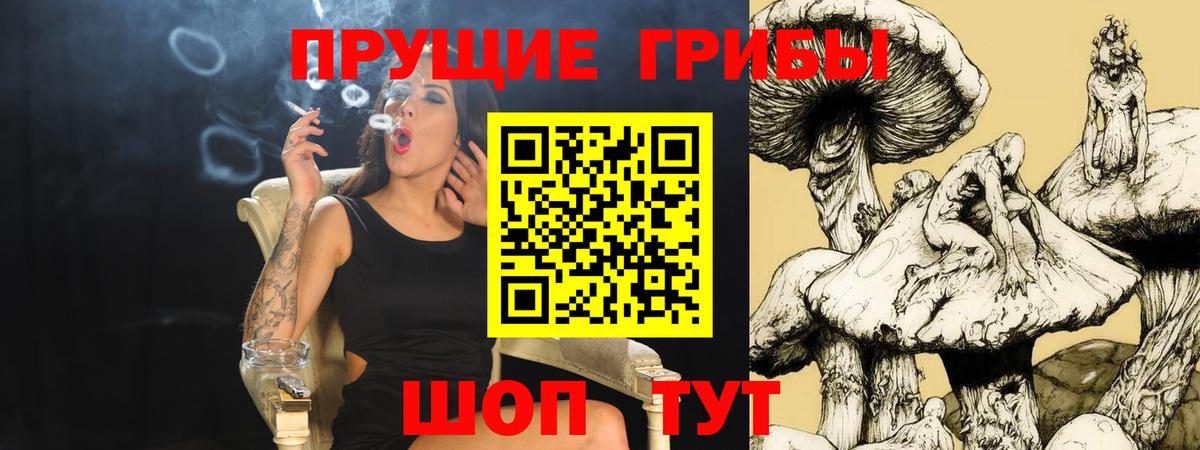 Армавир  где найти наркотики  Вход с VPN  Галлюциногенные грибы GOLDEN TEACHER 